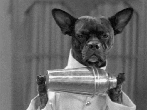 The cocktail dog